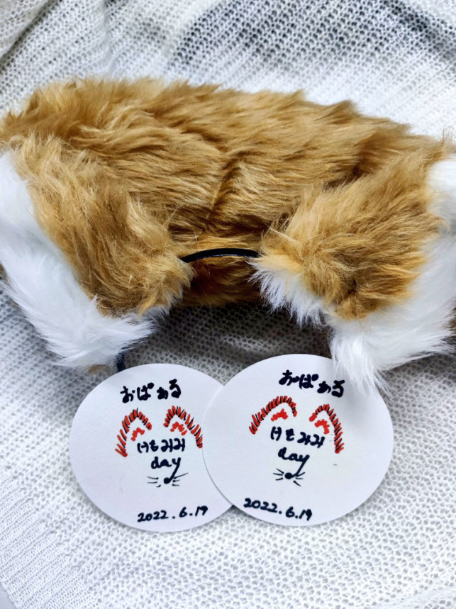 きつねミミとけもみみコースター